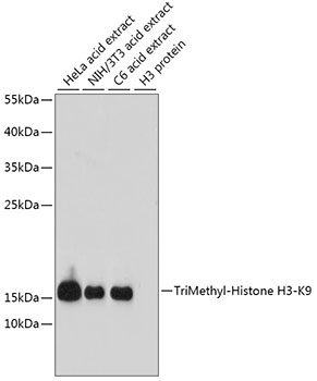 TriMethyl-Histone H3-K9 pAb