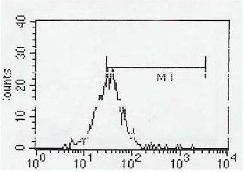 CD4 Antibody [B486A1]
