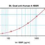 To detect h4-1BB Receptor by sandwich ELISA (using 100 ul/well antibody solution) a concentration of 0.25 – 1.0 ug/ml of this antibody is required. This biotinylated polyclonal antibody, in conjunction with ProSci’s Polyclonal Anti-Human 4-1BB Receptor (XP-5100) as a capture antibody, allows the detection of at least 0.2 – 0.4 ng/well of recombinant h4-1BB Receptor.