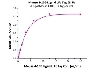 41BB Ligand Recombinant Protein