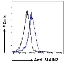 TNFSF14 Antibody