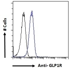 ANAPC11 Antibody