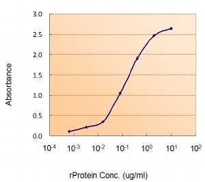 VHL Antibody