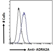 ADRA2A Antibody