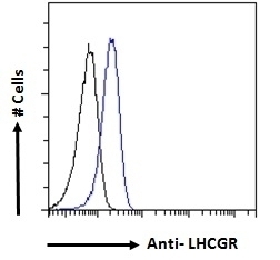 AGTR1 Antibody