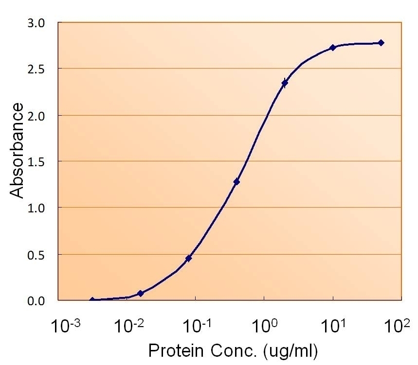 Fumarase Antibody