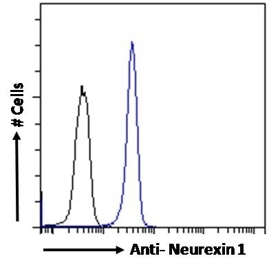 TREM2 Antibody
