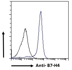 VTCN1 Antibody