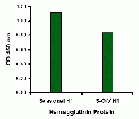 Seasonal H1N1 Hemagglutinin Peptide