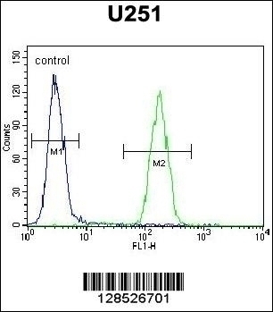AMN1 Antibody