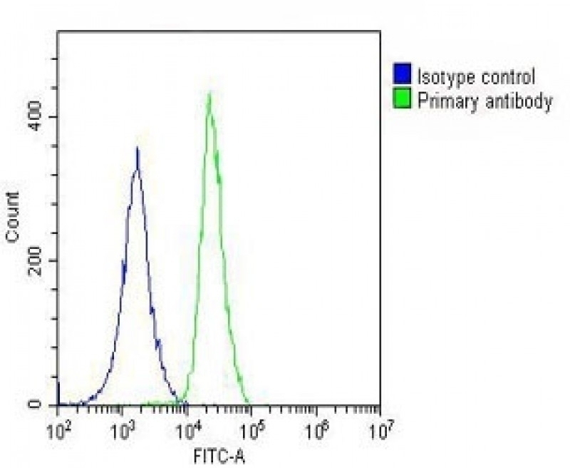 ANGPTL4 Antibody