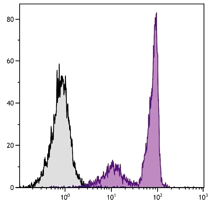 CD44 Antibody [KM201]