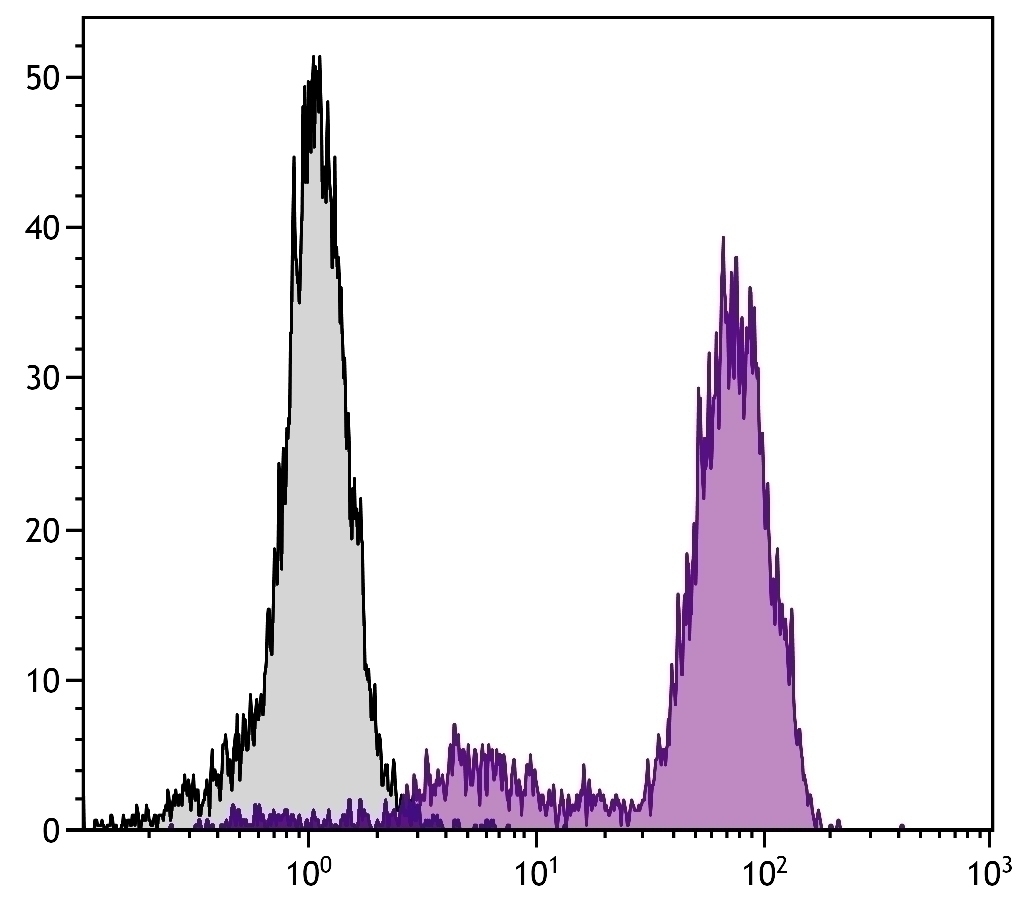 CD44 Antibody [KM201] (FITC)