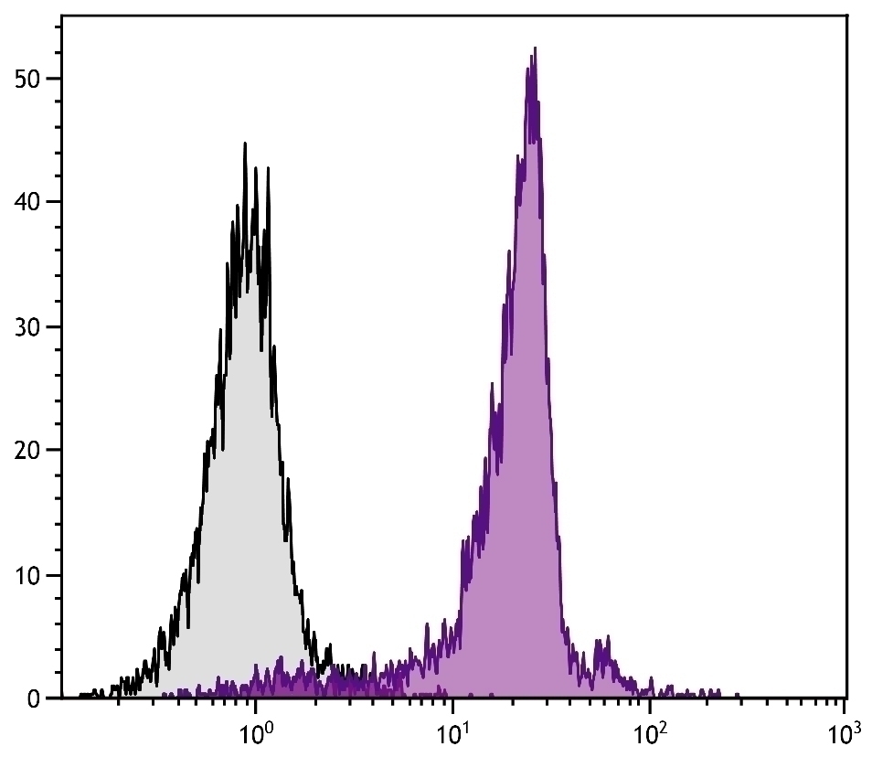 CD44 Antibody [KM201] (PE)