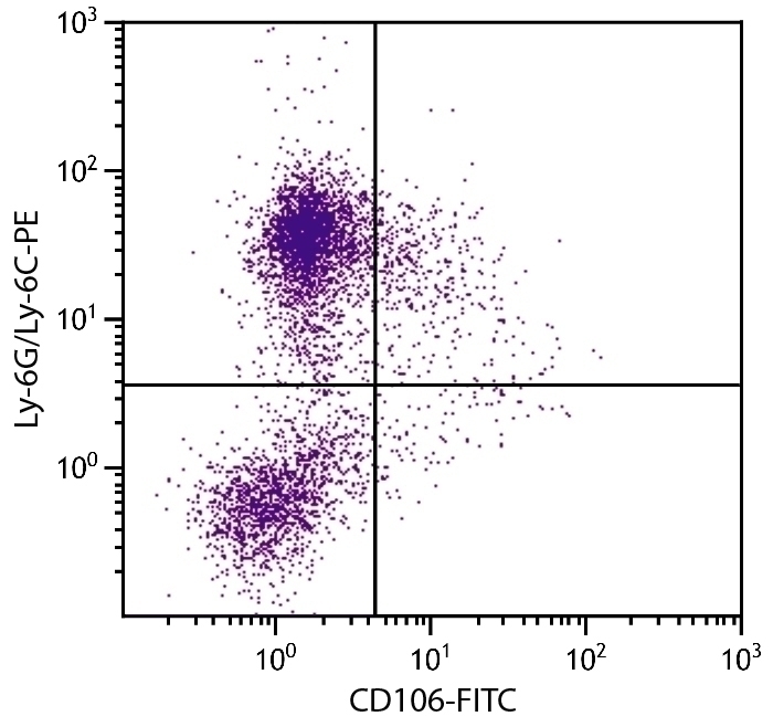 CD106 Antibody [M/K-2] (FITC)
