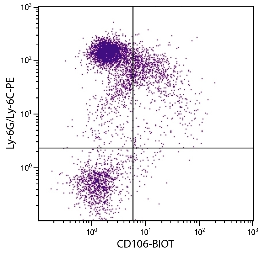CD106 Antibody [M/K-2] (Biotin)