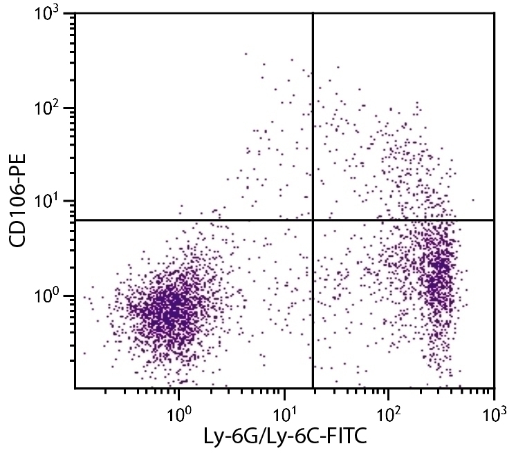 CD106 Antibody [M/K-2] (PE)
