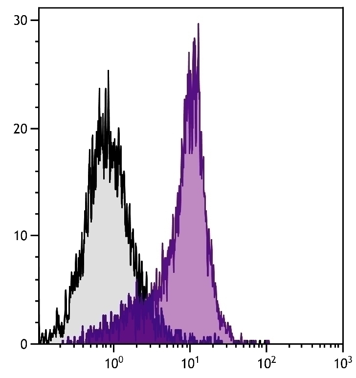 CD49d Antibody [PS/2]