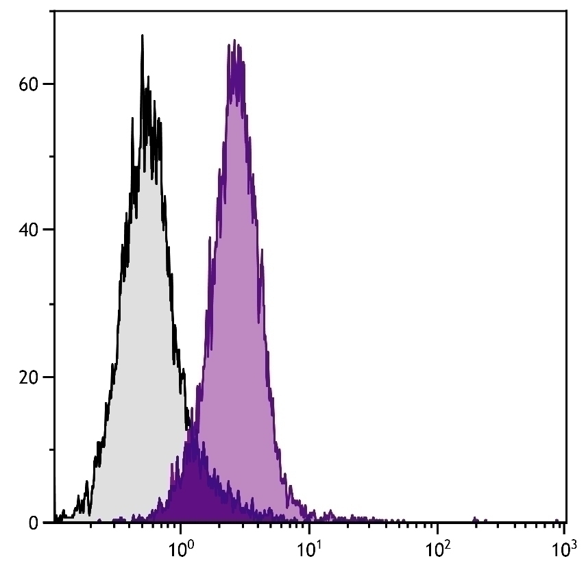 CD2 Antibody [12-15] (Biotin)