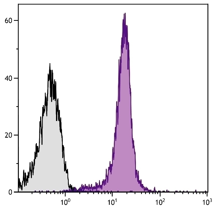 CD2 Antibody [12-15] (PE)