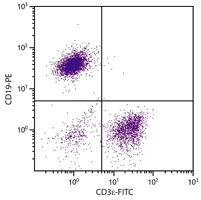 CD3e Antibody [145-2C11] (FITC)