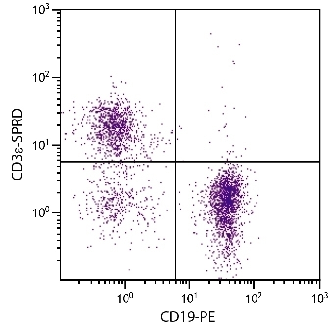 CD3e Antibody [145-2C11] (PE-Cy5)