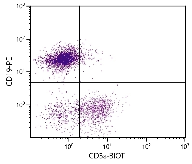 CD3e Antibody [500-A2] (Biotin)