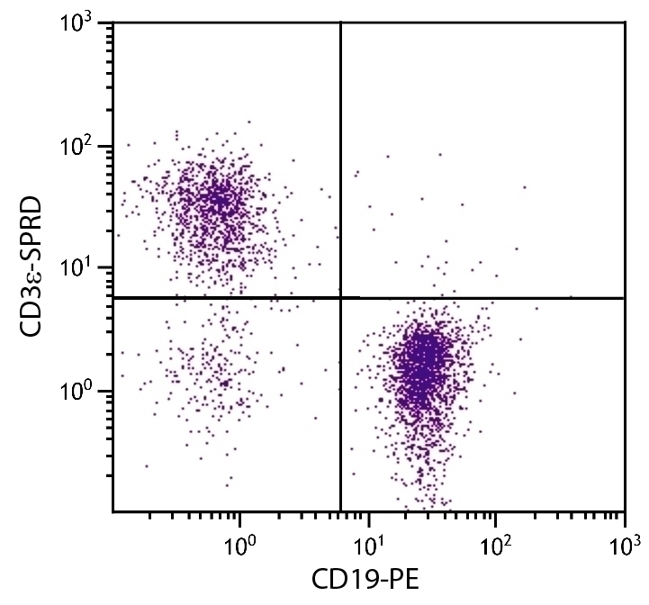 CD3e Antibody [500-A2] (PE-Cy5)