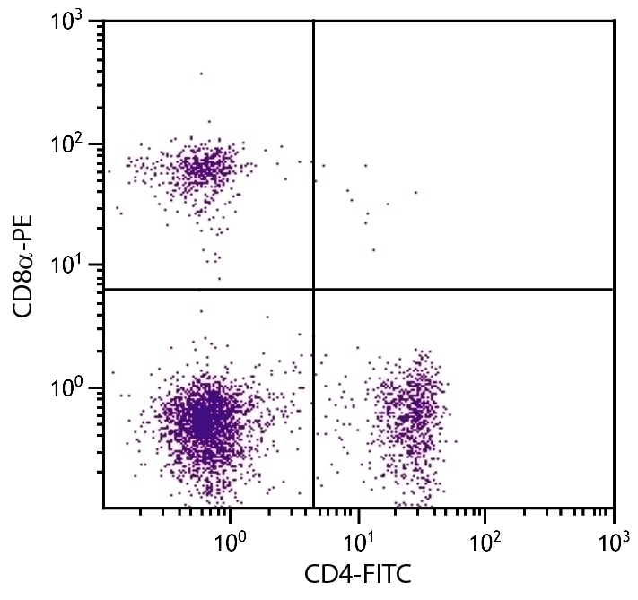 CD4 Antibody [GK1.5] (FITC)