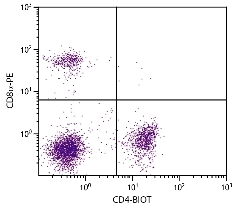 CD4 Antibody [GK1.5] (Biotin)