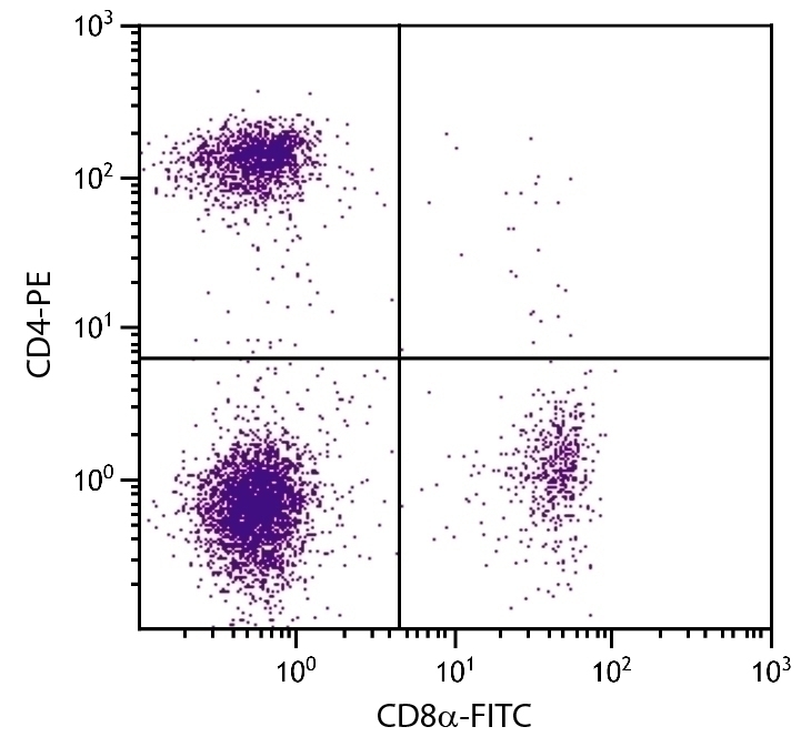 CD4 Antibody [GK1.5] (PE)