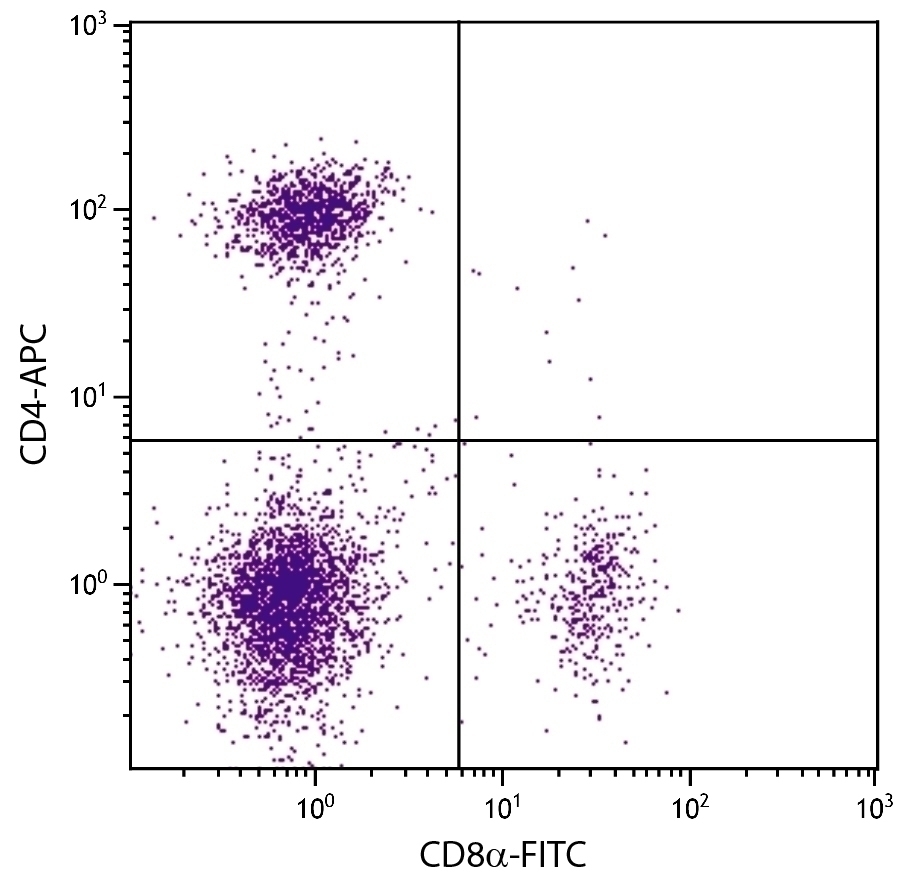CD4 Antibody [GK1.5] (APC)