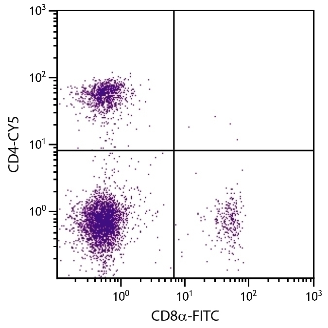 CD4 Antibody [GK1.5] (Cy5)