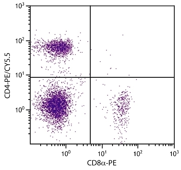 CD4 Antibody [GK1.5] (PE-Cy5.5)