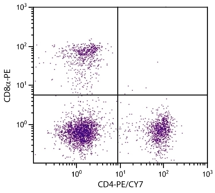 CD4 Antibody [GK1.5] (PE-Cy7)