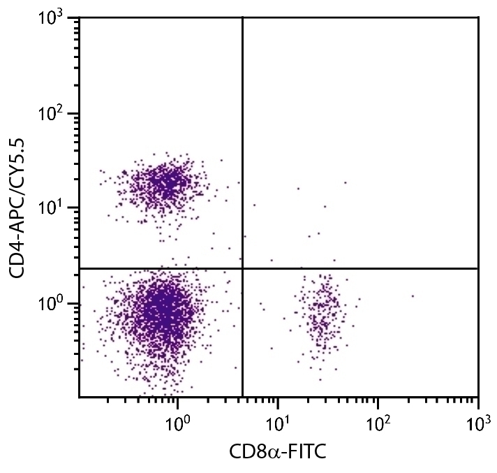CD4 Antibody [GK1.5] (APC-Cy5.5)