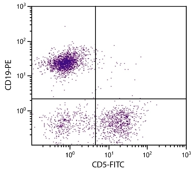 CD5 Antibody [4H8E6] (FITC)