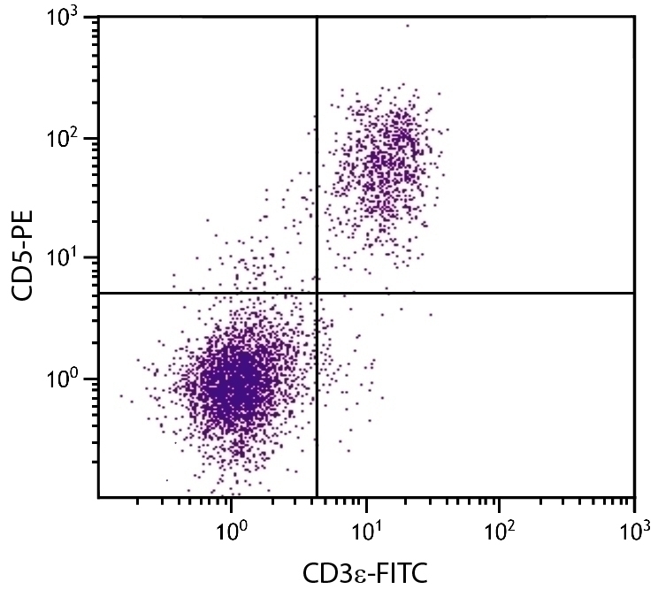 CD5 Antibody [4H8E6] (PE)