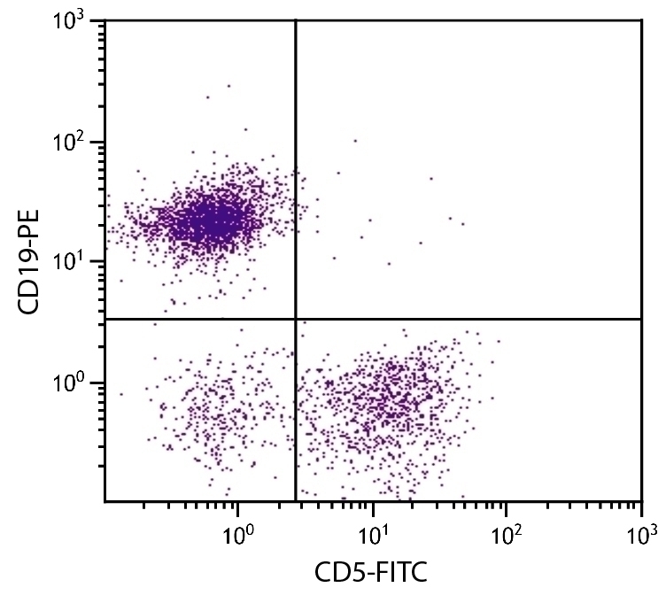 CD5 Antibody [53-7.3] (FITC)