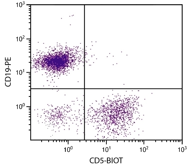 CD5 Antibody [53-7.3] (Biotin)
