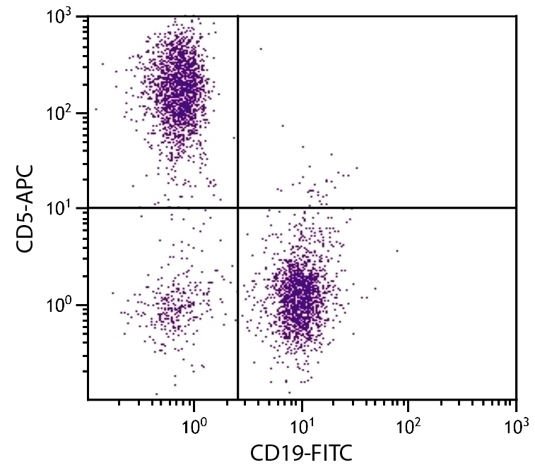 CD5 Antibody [53-7.3] (APC)