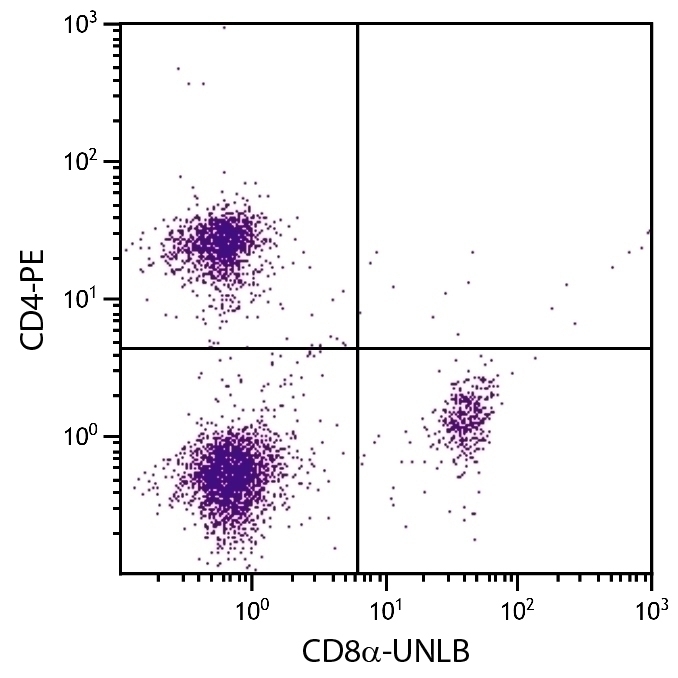 CD8a Antibody [53-6.7]