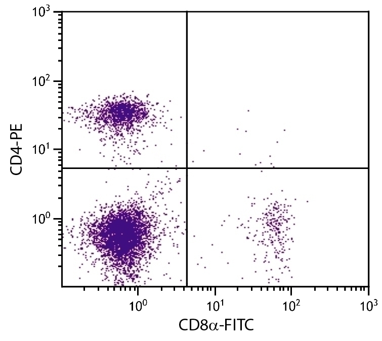 CD8a Antibody [53-6.7] (FITC)