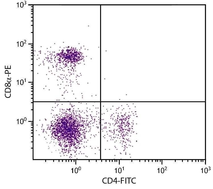 CD8a Antibody [53-6.7] (PE)