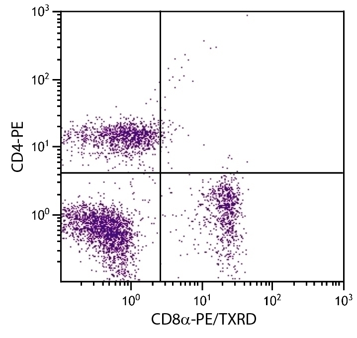 CD8a Antibody [53-6.7] (PE-Texas Red)