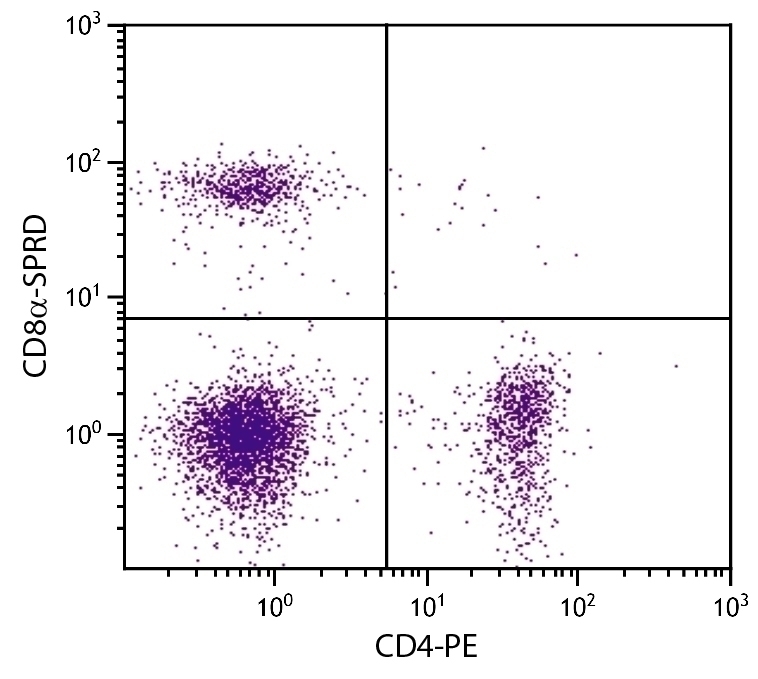 CD8a Antibody [53-6.7] (PE-Cy5)