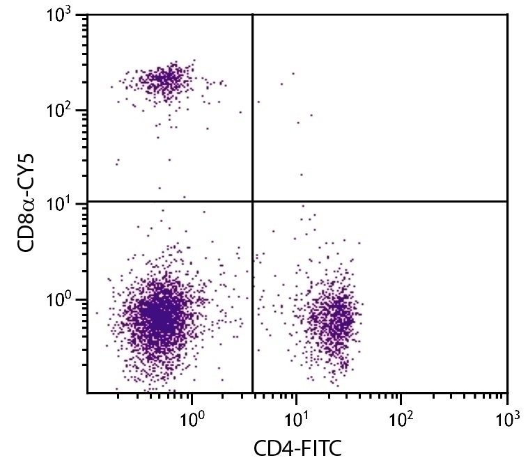 CD8a Antibody [53-6.7] (Cy5)