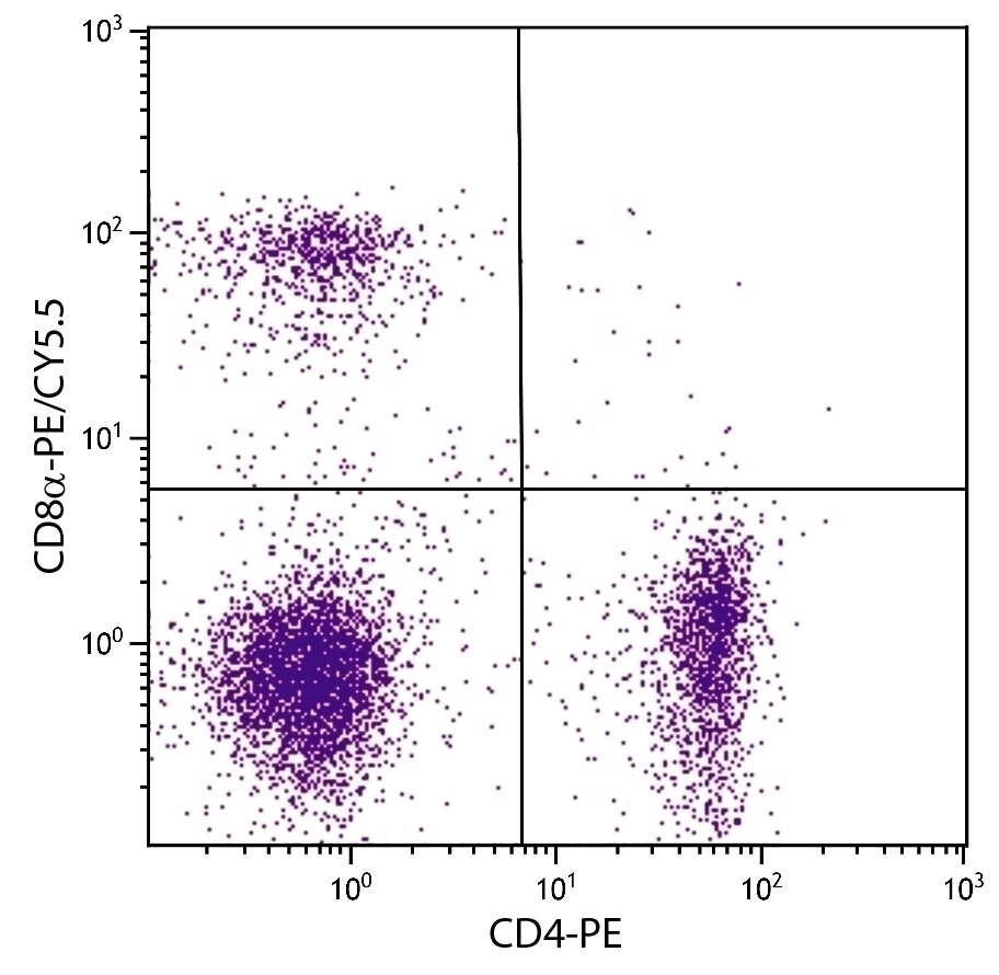 CD8a Antibody [53-6.7] (PE-Cy5.5)