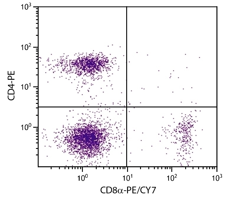 CD8a Antibody [53-6.7] (PE-Cy7)
