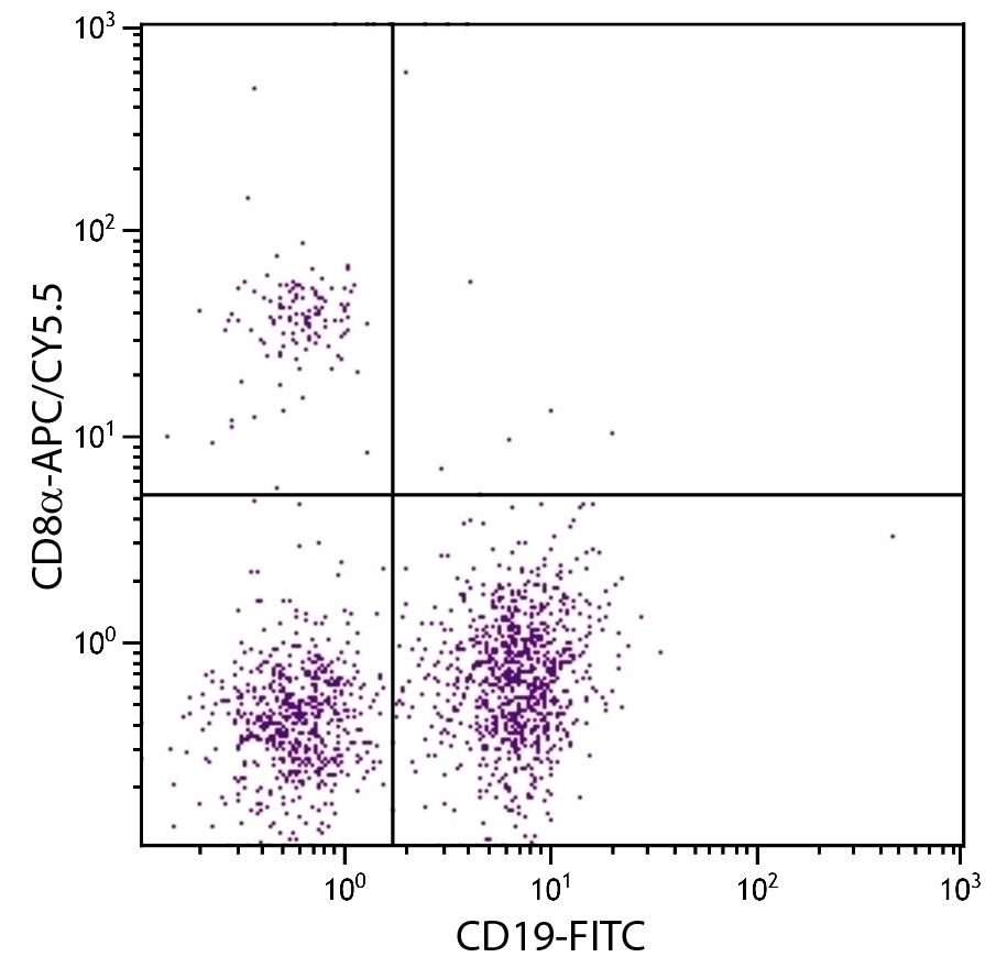 CD8a Antibody [53-6.7] (APC-Cy5.5)